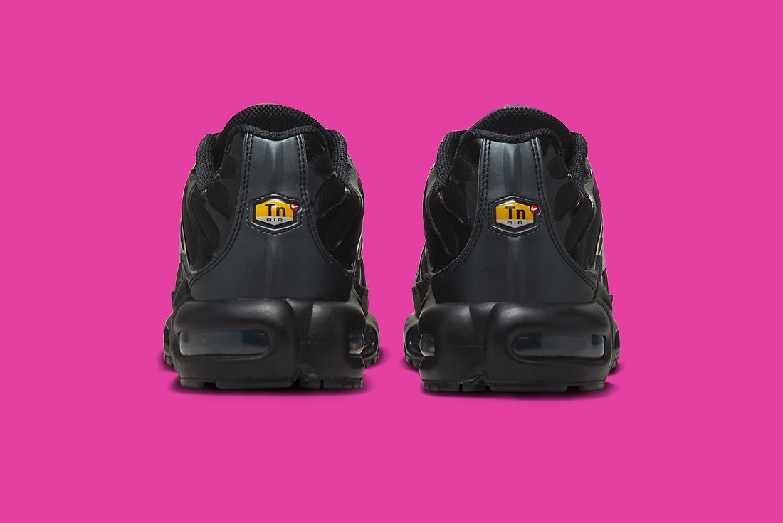 Nike Air Max Plus Black Pink FJ5481-010